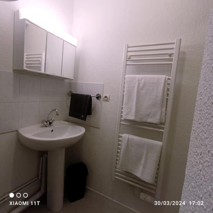 Villeurbanne Centre Appartement Meuble Exterior foto